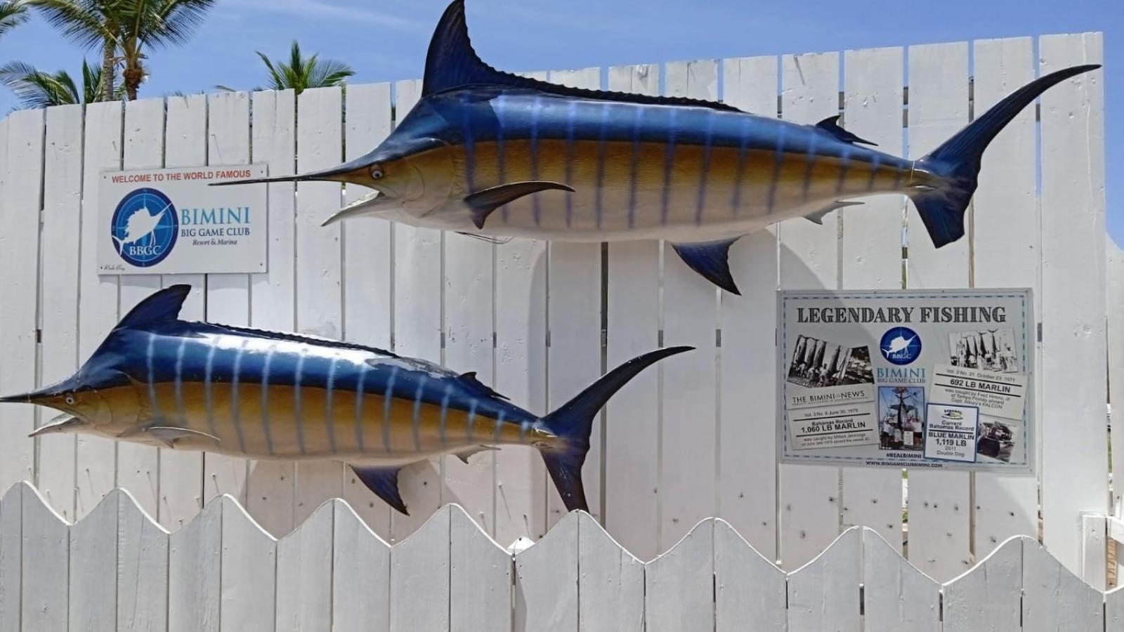 Bimini Big Game Club Resort&Marina Alice Town  Exterior foto